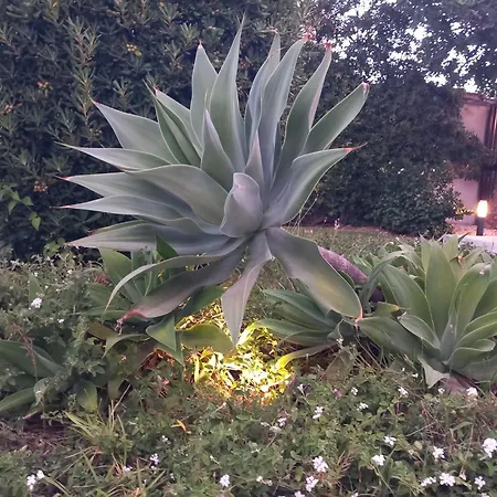 Coral Vicino Al Mare * Fontane Bianche