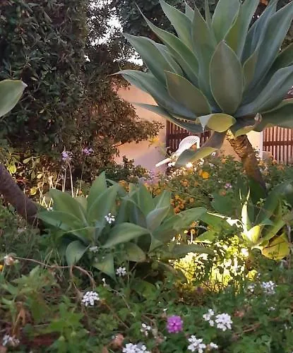 Coral Vicino Al Mare * Fontane Bianche