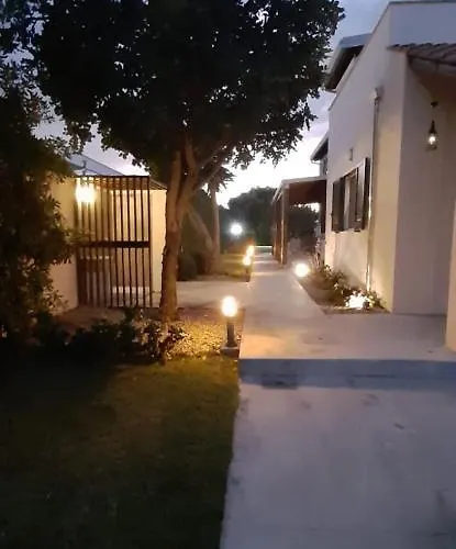 Coral Vicino Al Mare