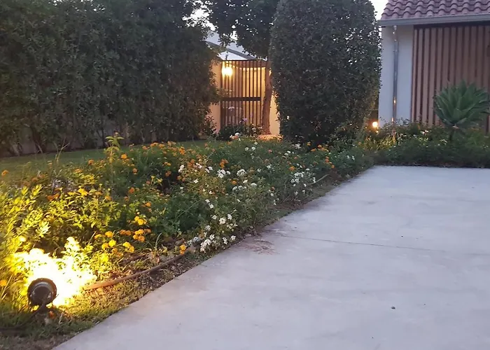 Coral Vicino Al Mare