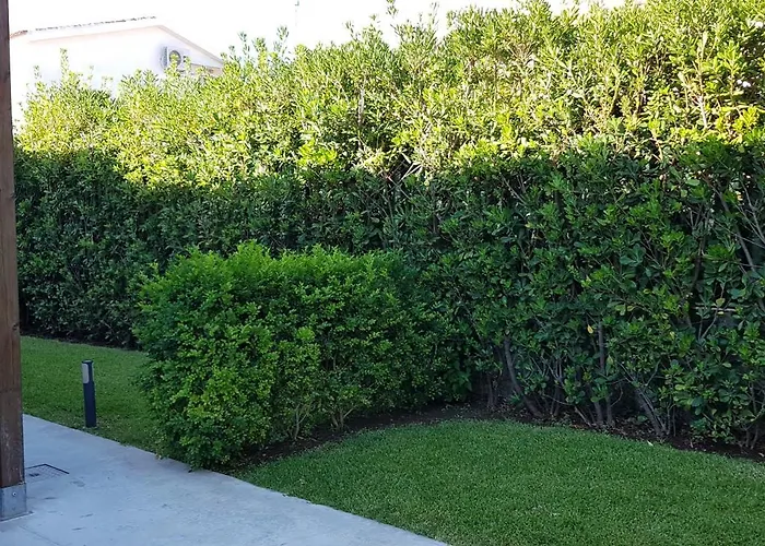 Coral Vicino Al Mare *