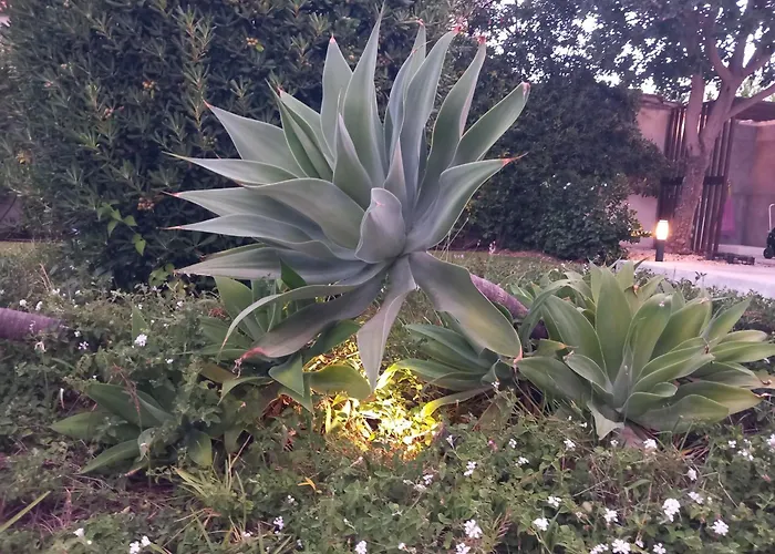 Coral Vicino Al Mare * Fontane Bianche